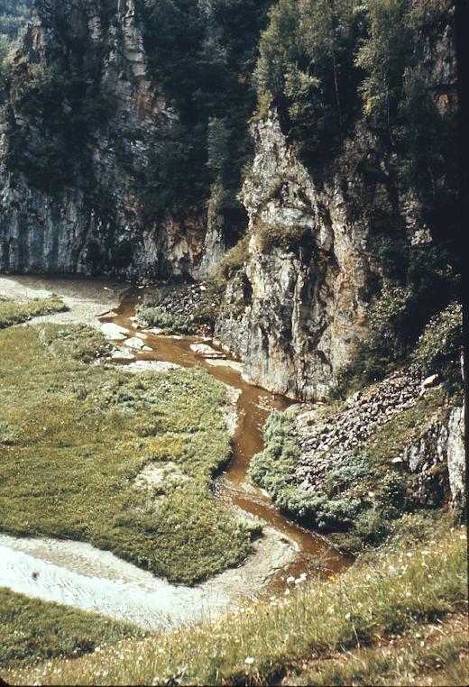 The large sink, Lunca Ponorlui. © R.A. Philpott